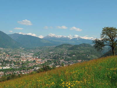 Bild 6 aus  Huberhof