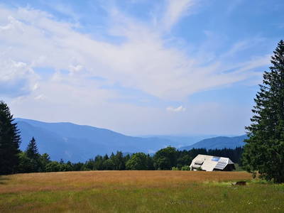 Brendbauer mit Blick bis zu den Vogesen über Freiburg hinweg