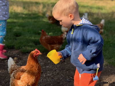 Bild 5 aus  Luftsnapper & Fellnasen