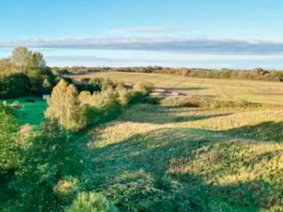 Bild 10 aus  Ostsee Baumhaushotel Schleswig-Holstein