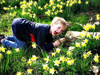 Bild 5 aus  Ferienhof Vennhof