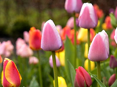 Bild 14 aus  SchleinersHof