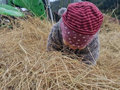 Bild 54 aus  Langenhof im Schwarzwald bei Oppenau