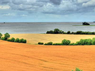 Bild 16 aus  Ferienhof Johannsen