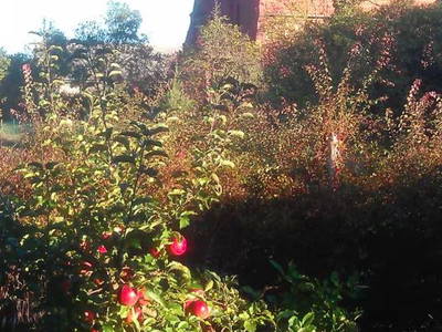 Bild 23 aus  Ferienhaus Zur Tenne