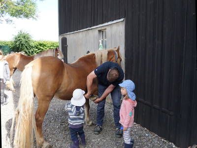 Bild 23 aus  Ostseeferienhof  Stoldt