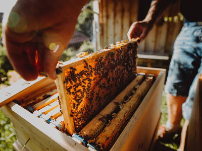 Bild 11 aus  Babel's Auszeit