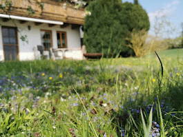 Bild 42 aus  Frankhof