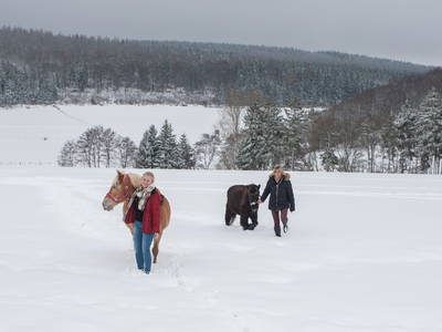 Bild 46 aus  LandSelection Ferienhof Zur Hasenkammer