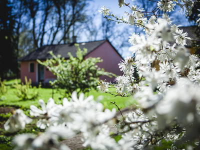 Bild 31 aus  Ferienhof Gut Ummersberg