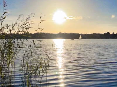 Bild 12 aus  Ferienhof Karin Schwarz