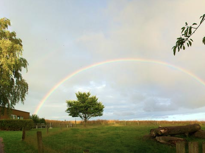 Bild 17 aus  Ferienhof Johannsen