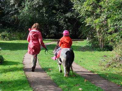 Bild 11 aus  Hamkenshof