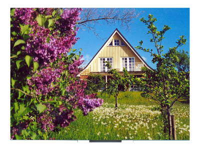 Bild 3 aus  Idyll an der Schlei