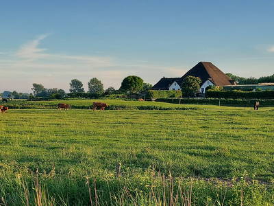 Bild 2 aus  Ferienhof   Witte Haubarg                -  2025 Beliebtester Ferienhof für Familienurlaub