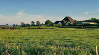 Ferienhof   Witte Haubarg                -  2025 Beliebtester Ferienhof für Familienurlaub aus Kotzenbüll