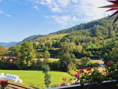 Bild 55 aus  Langenhof im Schwarzwald bei Oppenau