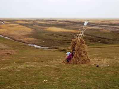 Bild 19 aus  Ferienhof Gertz