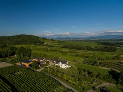 Bild 15 aus  Maienbrunnenhof