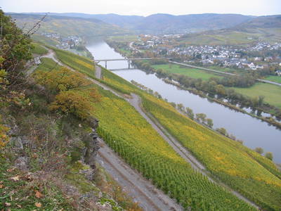 Moselblick Richtung Bernkastel - Kues