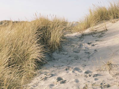 Bild 25 aus  norderdiekhuus -  renoviertes Reetdachhaus in Strandnähe