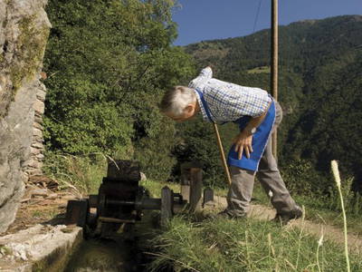 Bild 13 aus  Ban Rutzner (CIN Codex IT021011B5TZ9IFGUO)