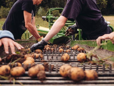 Bild 28 aus  Biohof Pürten