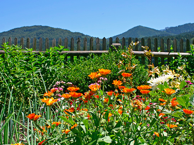 Bild 8 aus  Jodlhof Kochel am See