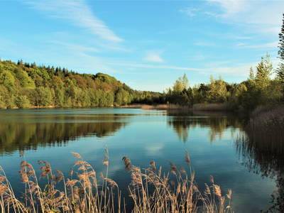 Bild 12 aus  Ferienhof  Schwien