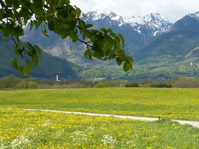 Bild 33 aus  Zacherlhof