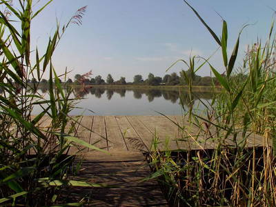 Bild 38 aus  Ferien am Schloss