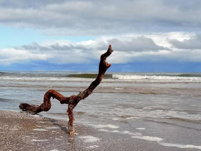 Bild 22 aus  Ferienwohnungen Neeberg Usedom