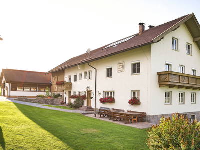 Bild 6 aus  Wenighof