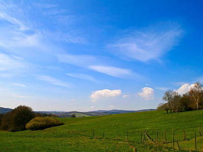 Bild 11 aus  Steinäckerhof