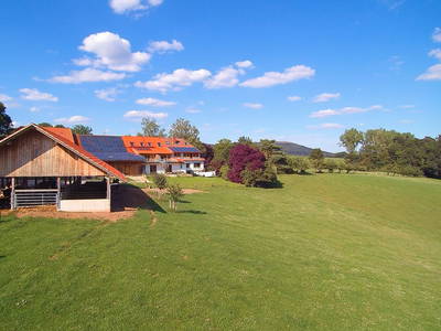 Bild 3 aus  Gripshof