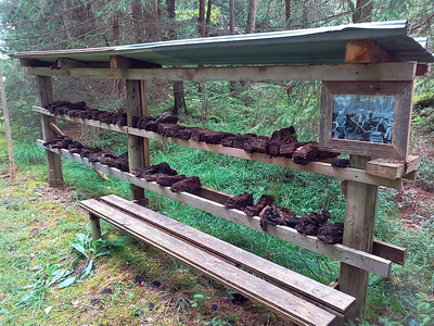 Bild 23 aus  Reicharthof