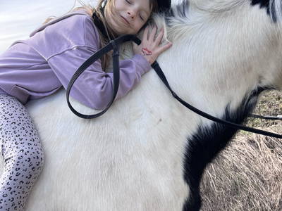 Bild 2 aus  Landkulturhof Glücksbringer