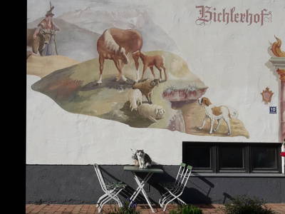 Bild 18 aus  Bichlerhof