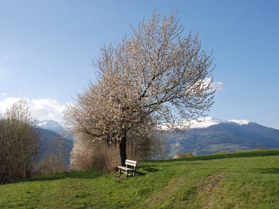 Bild 12 aus  Haus Sonnegg