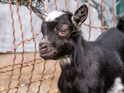 Bild 13 aus  Ferienhof Schnoor