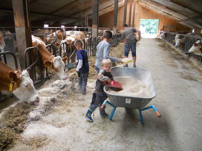 Bild 11 aus  Ferienbauernhof Storchenhäusle