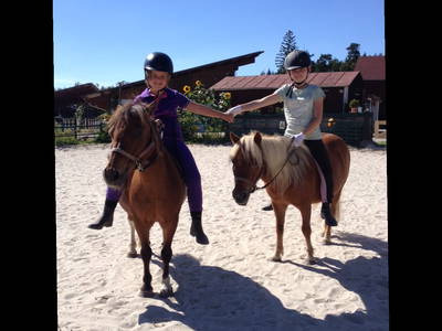 Bild 7 aus  Ferienhof "Familie Groh"