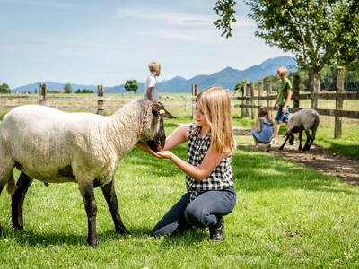 Bild 8 aus  LandSelection Hanznhof