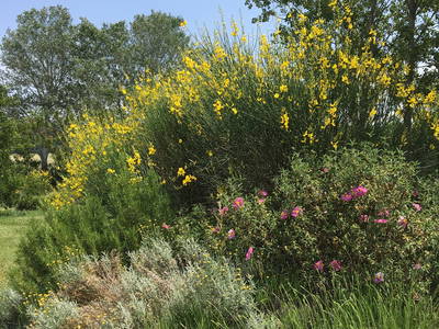 Bild 30 aus  Domaine de La Bastidonne (PROVENCE-LUBERON)
