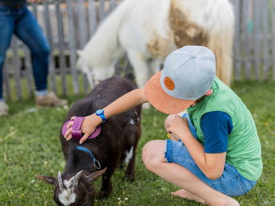 Bild 24 aus  Schädlerhof