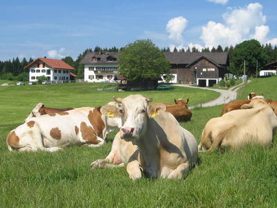 Bild 2 aus  Zum Hansenbauer