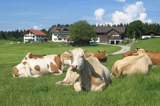 Zum Hansenbauer aus Tutzing