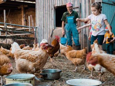 Bild 11 aus  BiolandHof Röttenbacher