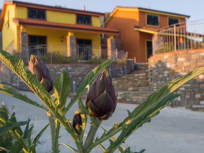 Bild 3 aus  Agriturismo Le Girandole