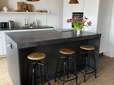 Bild 12 aus  Der Wilhelminenhof